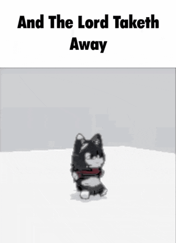 a black and white dog is standing in the snow with the words `` and the lord taketh away '' .