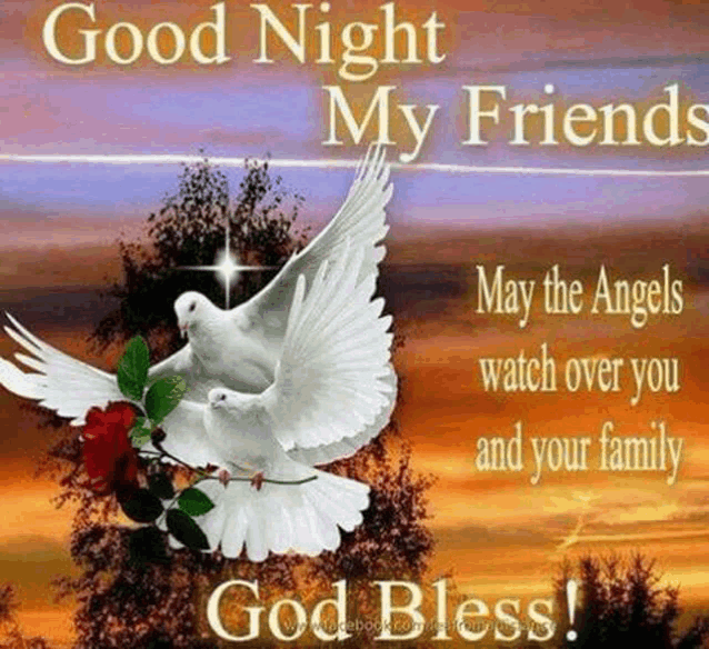 a picture of two white doves flying over a rose with a good night message .