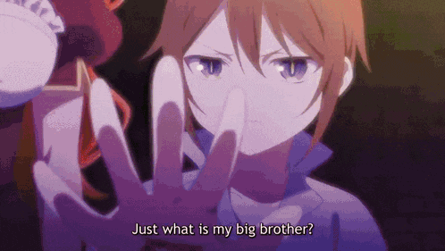 a girl in a purple shirt is asking just what is my big brother