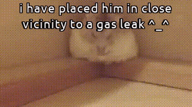 Animals With Captions I Have Placed Him GIF - Animals With Captions I Have Placed Him Gas Leak GIFs