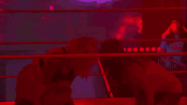a couple of women are standing in a wrestling ring in a dark room .
