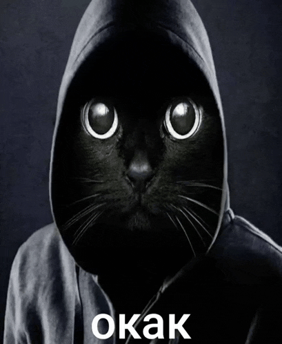 a black cat wearing a hooded sweatshirt with the word okak in white letters