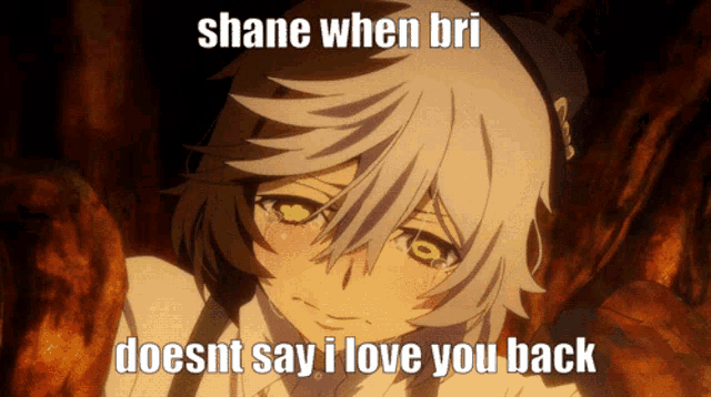 a picture of a girl with the words shane when bri doesnt say i love you back