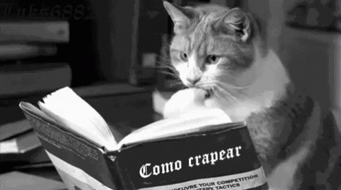Cat Reading GIF - Cat Reading Book GIFs