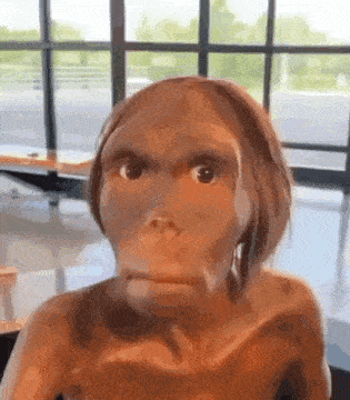 a close up of a statue of a human looking at the camera with a window in the background