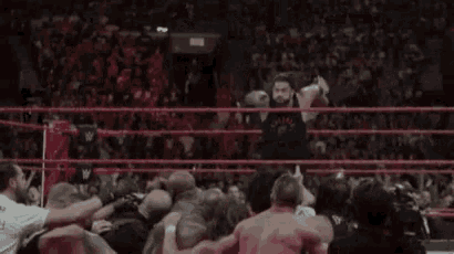 a group of people are standing around a wrestler in a ring .