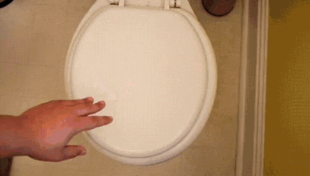 Garanikor Toilet GIF - Garanikor Toilet Poop GIFs