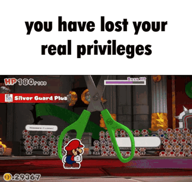 a screenshot of a video game with the words " you have lost your real privileges "
