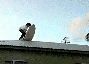 Wipe Out Surfer GIF - Wipe Out Surfer Roof GIFs