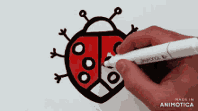 a ladybug is being drawn on a piece of paper with a white marker