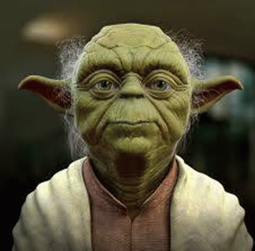 Yoda Wisdom GIF - Yoda Wisdom GIFs