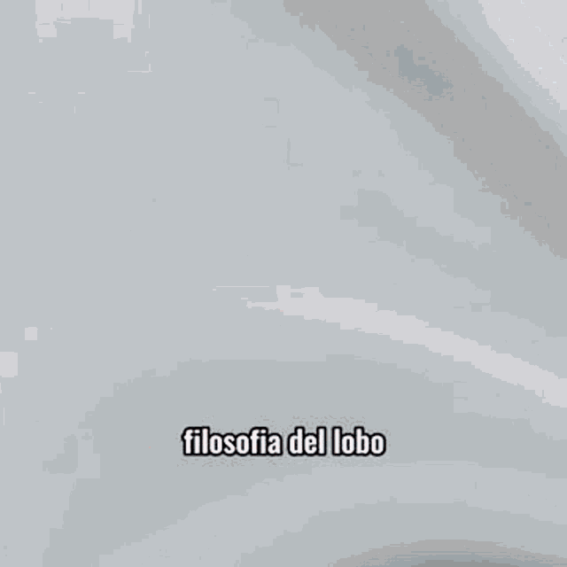 Filosofia Del Lobo Loba GIF - Filosofia Del Lobo Loba Lauuuder GIFs