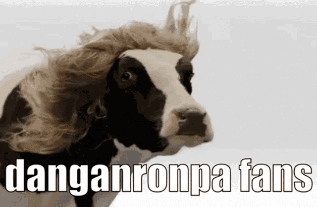 a cow with a wig on its head and the words `` danganronpa fans '' written below it .