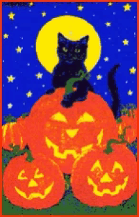 a black cat is sitting on top of a pumpkin