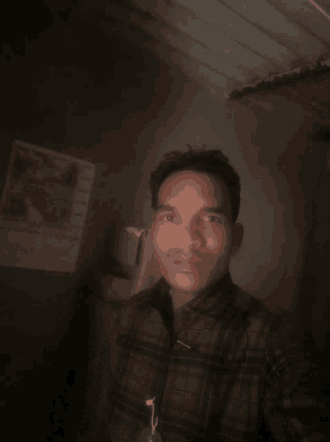 a man in a plaid shirt takes a selfie in front of a poster that says ' tourism ' on it