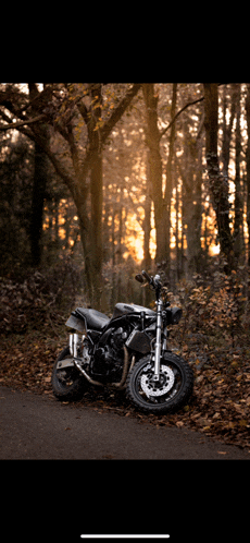 a motorcycle is parked in the middle of a forest