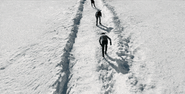 a group of people walking in the snow with their shadows on the ground