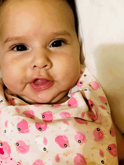 a baby wrapped in a pink and white bib with pink birds on it