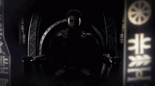 Black Panther T Challa GIF - Black Panther T Challa GIFs