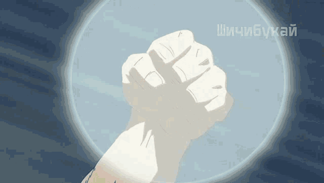 a person 's fist is being held up in front of a circle that says ' shikibukan ' on it