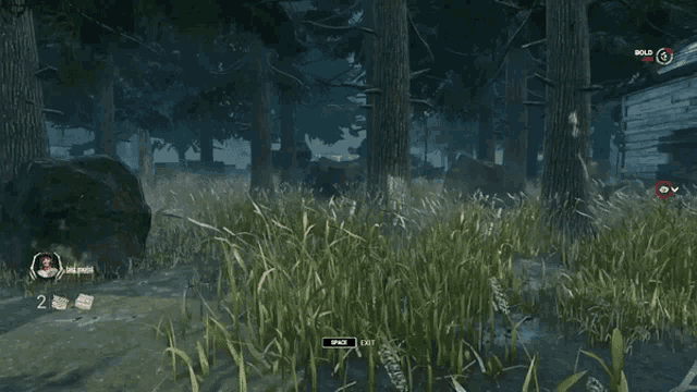 a screenshot of a video game shows a person named patrick standing in the grass