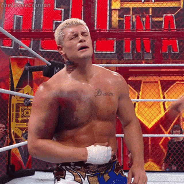Cody Rhodes Wwe GIF - Cody Rhodes Wwe Hell In A Cell GIFs