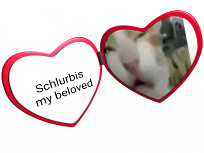 a heart shaped mirror that says schlurbis my beloved on it
