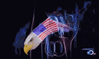 an eagle with an american flag on its head