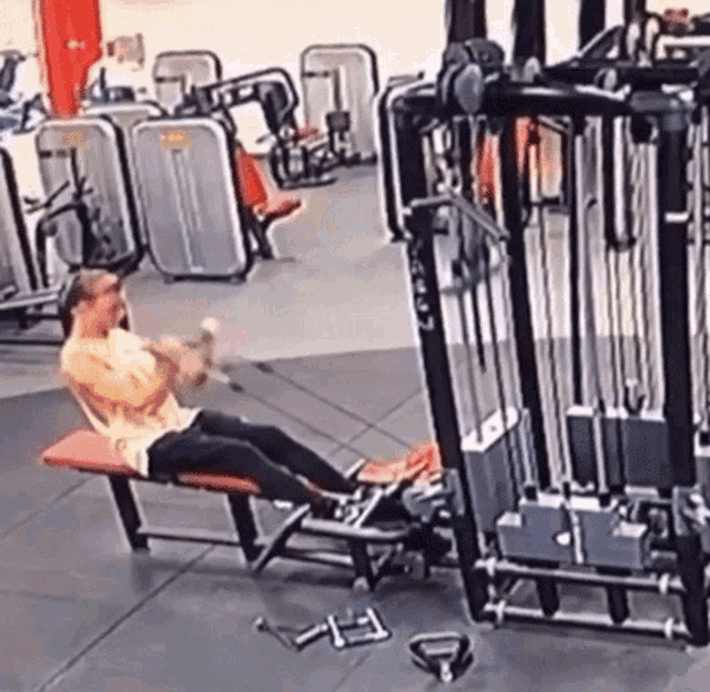 Work Out Gym GIF - Work Out Gym Working Out GIFs