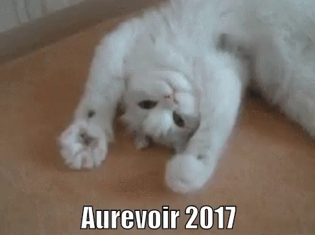 Aurevoir 2017 GIF - Aurevoir2017 Bonne Annee 2017 GIFs