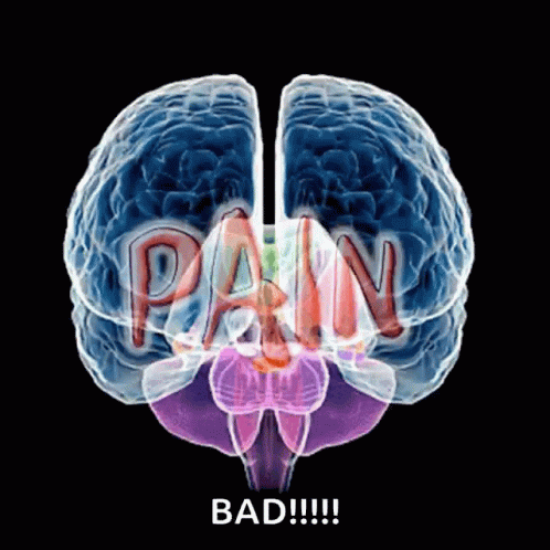 Pain Painful GIF - Pain Painful Migraine GIFs