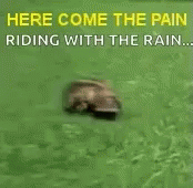 Pain Rain GIF - Pain Rain GIFs