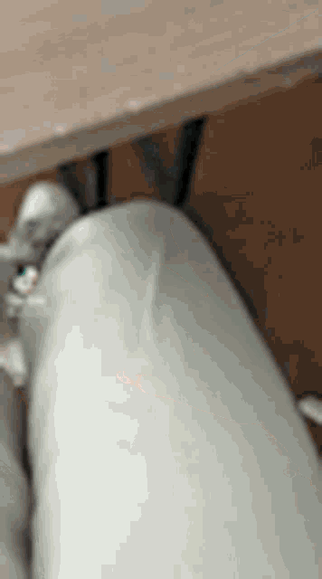 a person is sitting at a table with their legs crossed and their feet up .