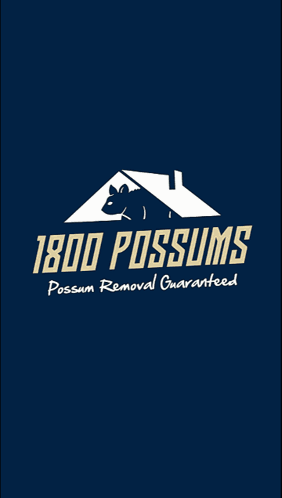 1800possums Possum Removal GIF - 1800possums Possum Removal Possum Proofing GIFs