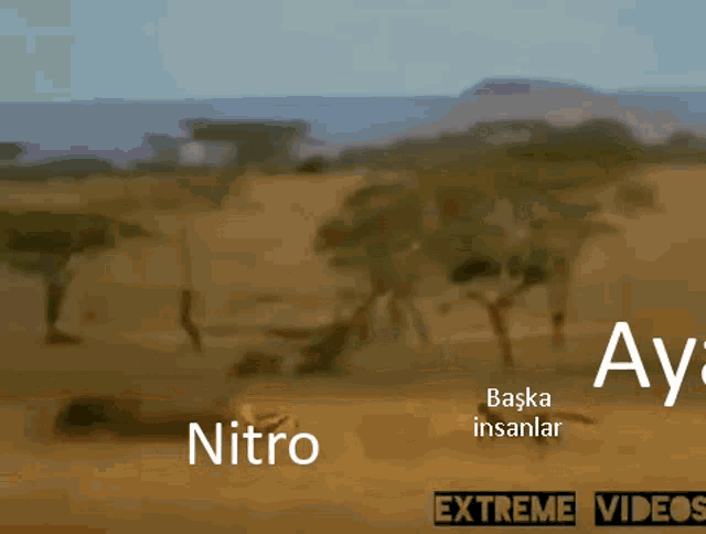 Ayaz Nitro GIF - Ayaz Nitro GIFs
