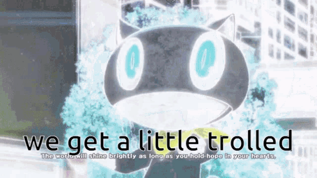 a picture of a cat with the words " we get a little trolled " below it