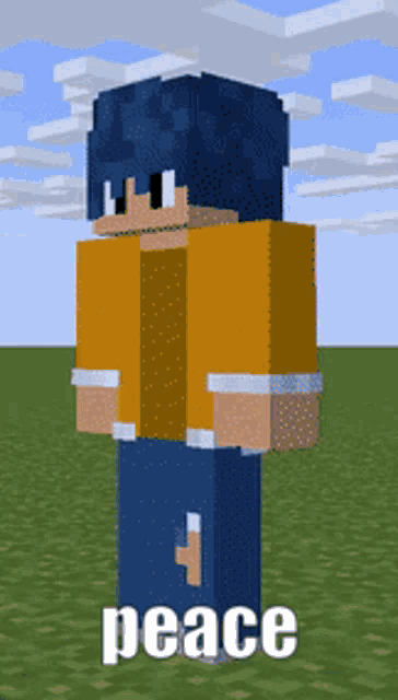 a minecraft character is standing in a grassy field with the word peace above him