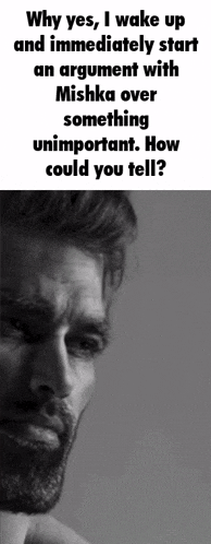 why yes i wake up and immediately start an argument with misha over something unimportant how could you tell ?