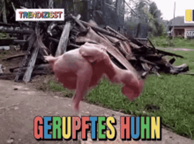 a chicken is doing a handstand in front of a pile of rubble and the words " gerupftes huhn "