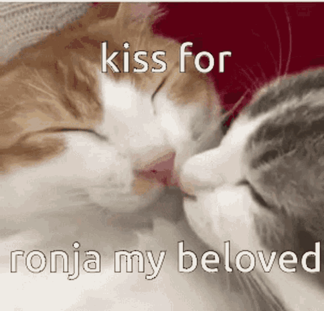 Ronja My Beloved Kiss GIF - Ronja My Beloved Kiss Kiwi GIFs