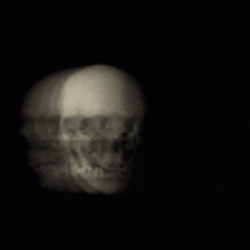 a black and white photo of a skull in the dark