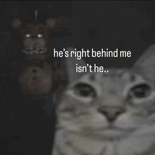a cat with the words he 's right behind me is n't he behind it