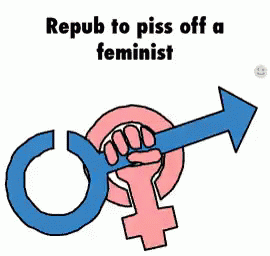 Feminist Anti Feminist GIF - Feminist Anti Feminist GIFs