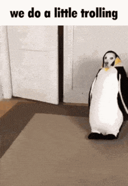Penguin Dog GIF - Penguin Dog GIFs