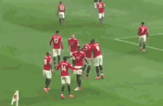 a group of soccer players are standing on a field .