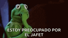 kermit the frog is thinking and covering his mouth with his hand while saying estoy preocupado por el jafet .
