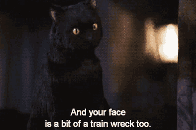 a black cat with the words and your face is a bit of a train wreck too on the bottom