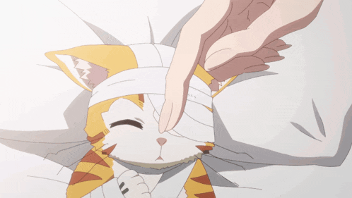 a cat with a bandage on its head is being held by a person