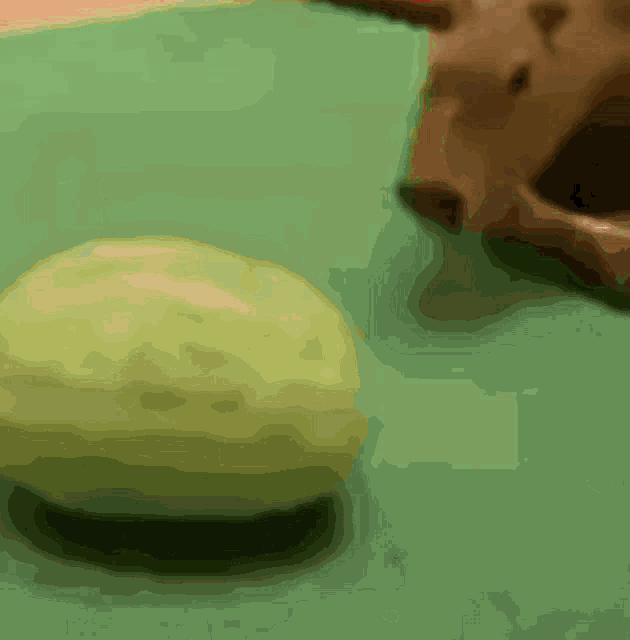 a drawing of a hamburger and a piece of cheese on a green surface