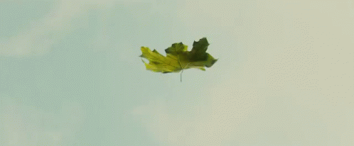 Autumn Leaf GIF - Autumn Leaf GIFs